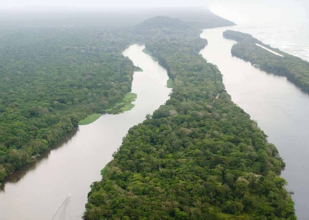 The canals of the Tortuguero National Park