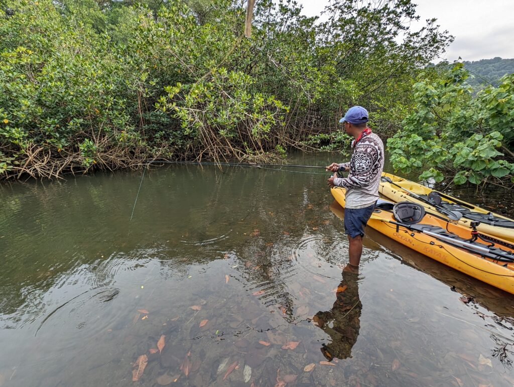 Luis casting for mangrove snappers