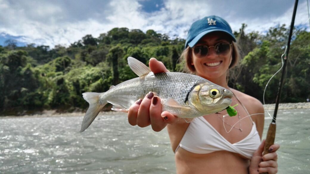 Freshwater fly fishing for machaca near Quepos